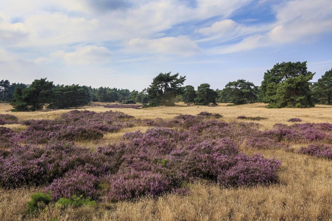Chalet Op De Veluwe # Eiken Putten Exterior foto